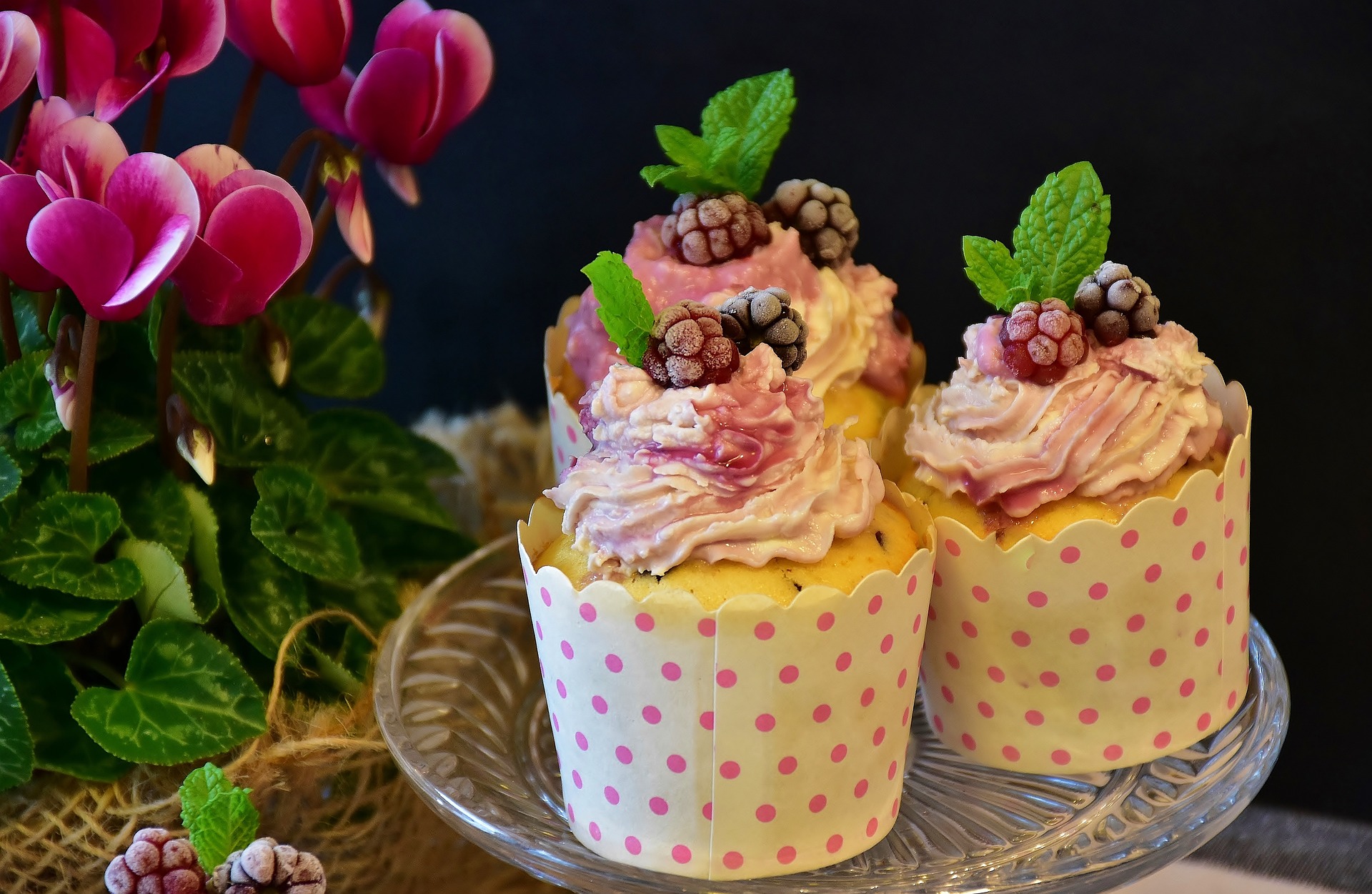 cupcake-2749204_1920